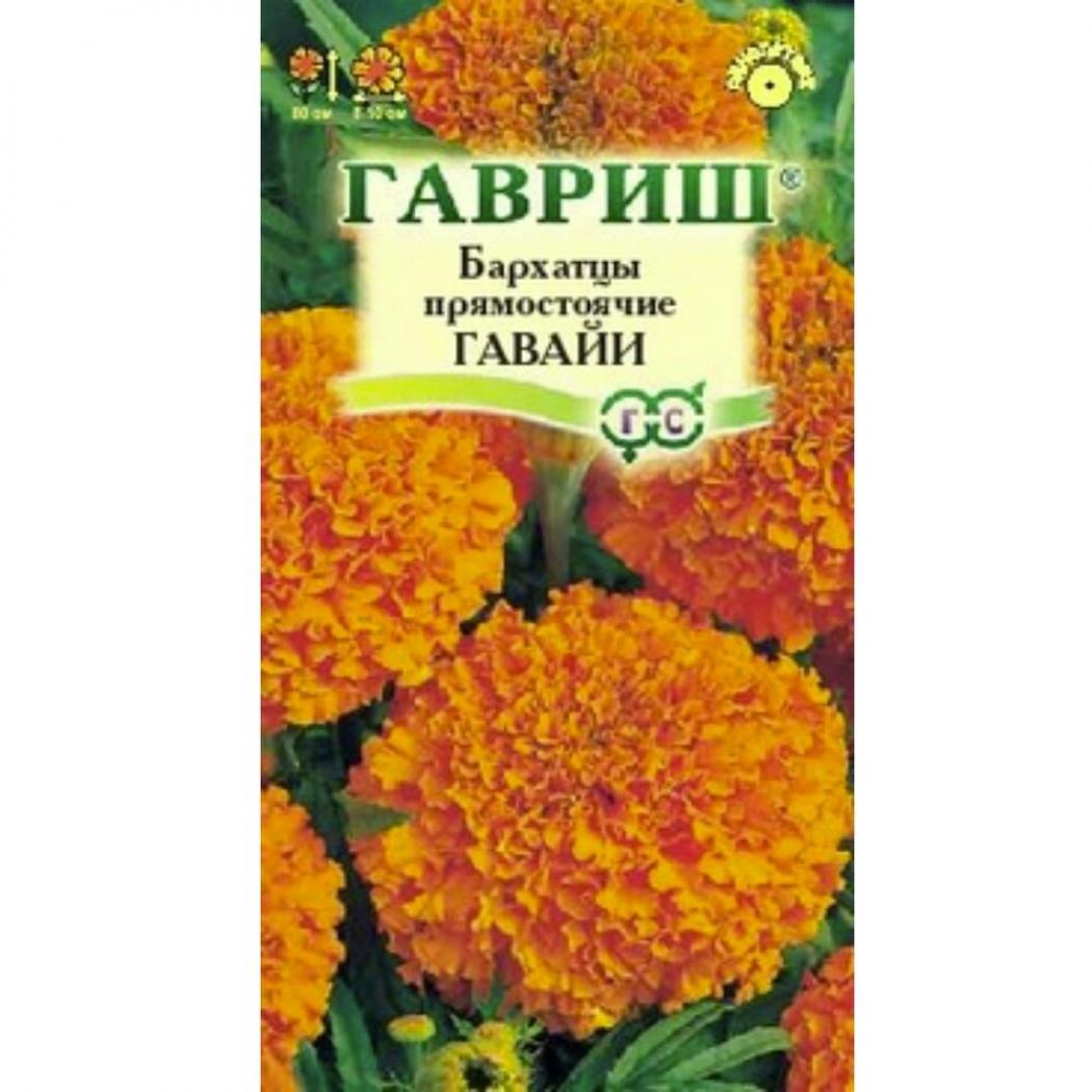 Бархатцы Гавайи