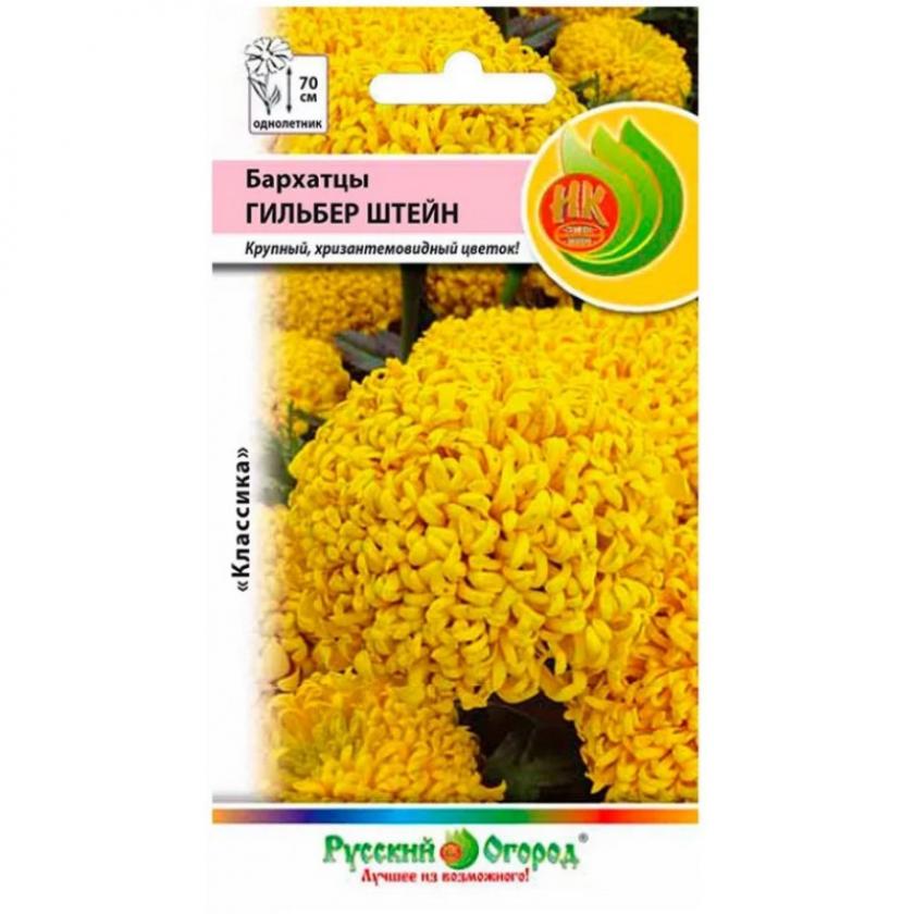 Бархатцы Гильбер Штейн