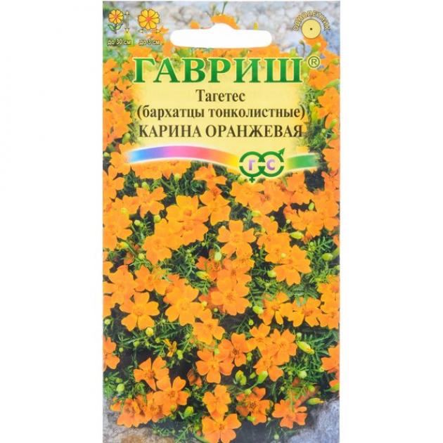 Бархатцы Карина оранжевая