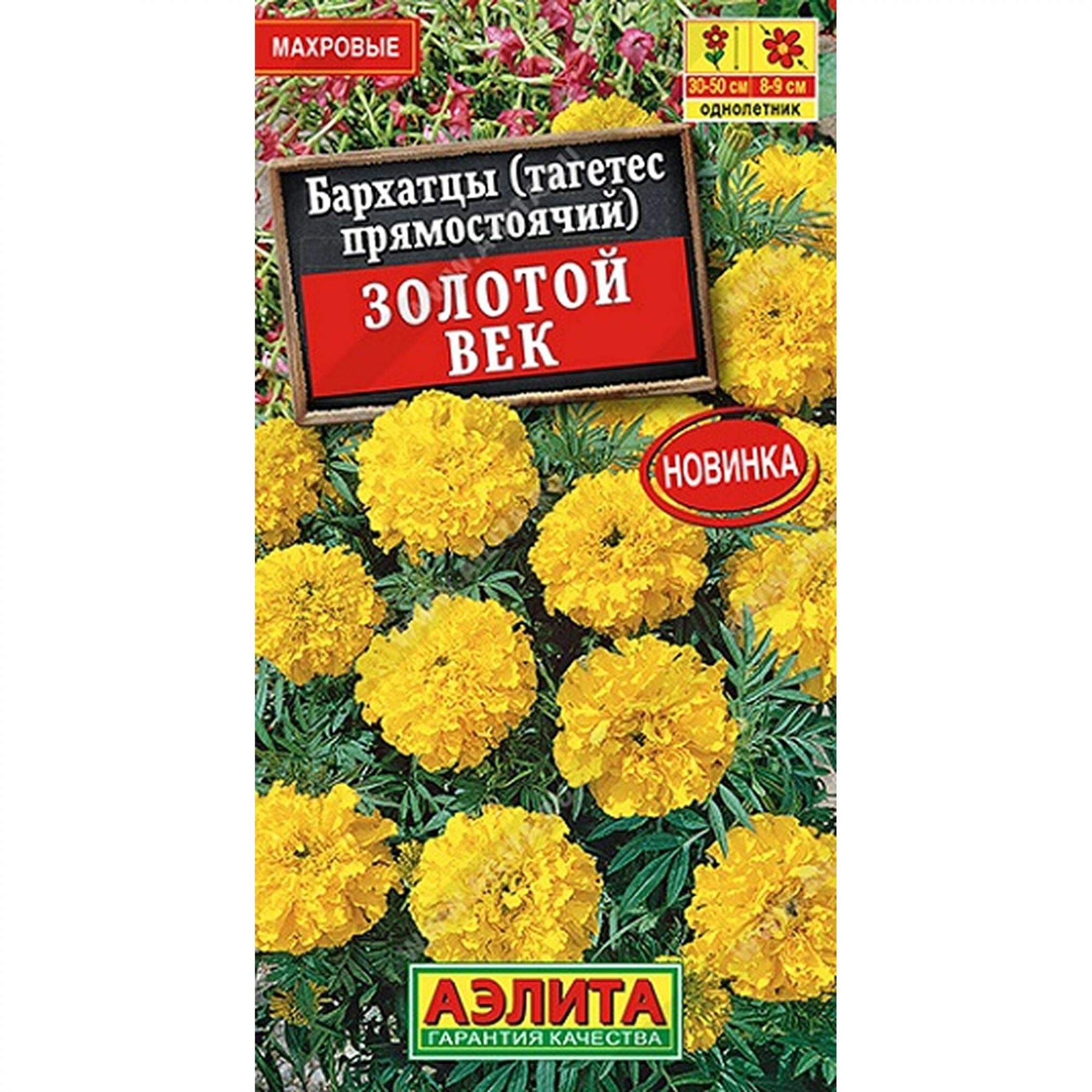 Бархатцы Золотой век