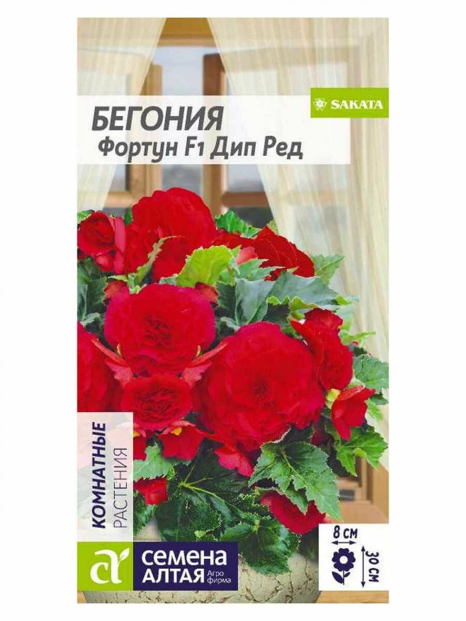 Бегония Фортуна Дип Ред