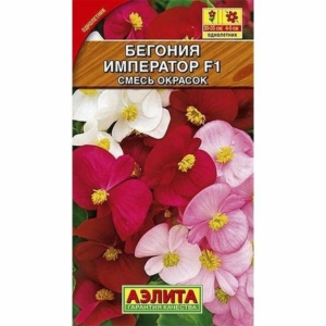 Бегония Император (смесь окрасок)