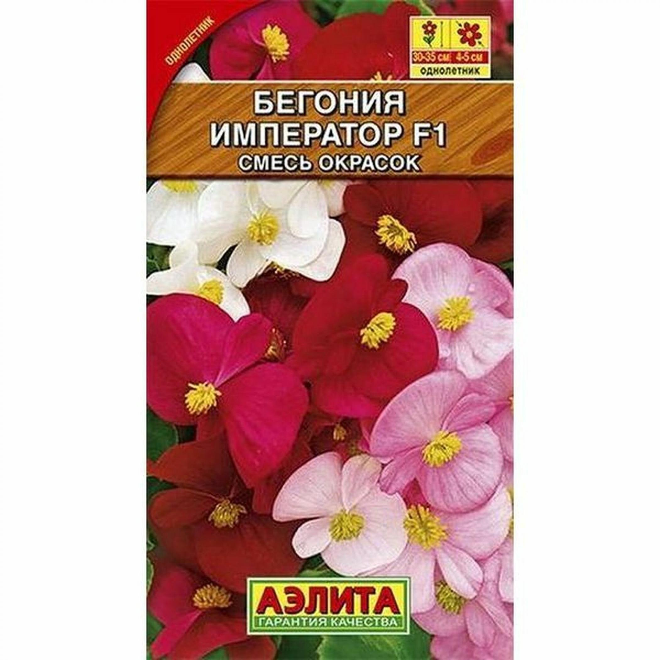 Бегония Император (смесь окрасок)