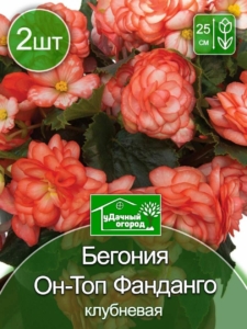 Бегония Он-Топ Фанданго