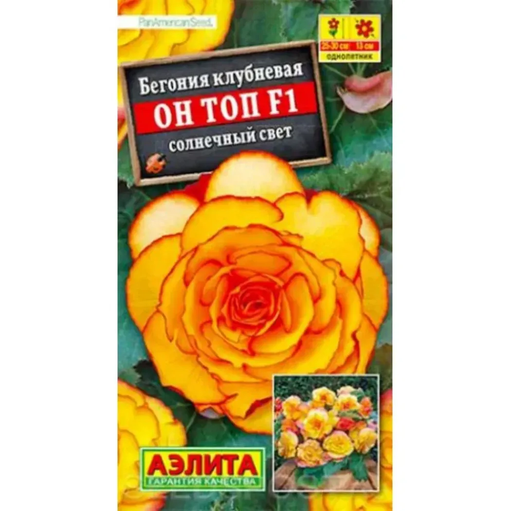 Бегония Он-Топ Солнечный свет 2