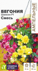 Бегония Шансон (смесь окрасок)