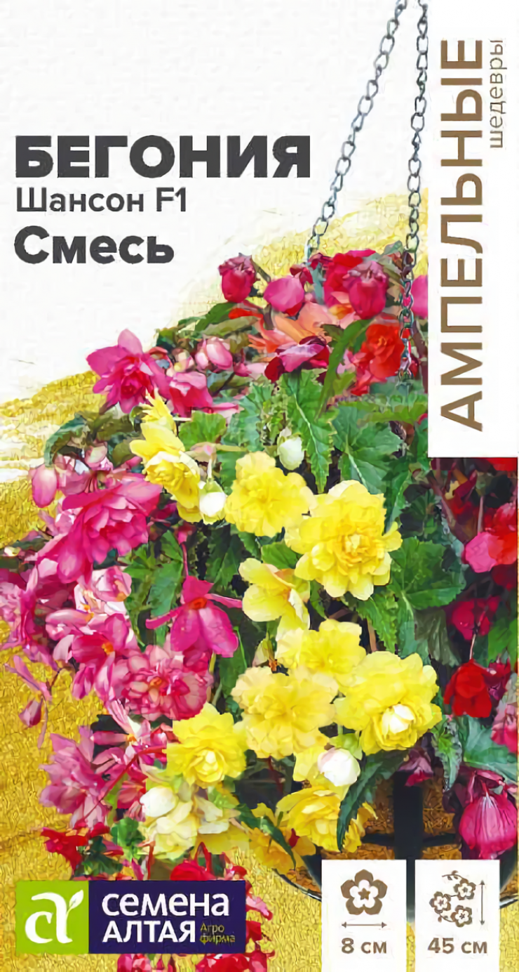 Бегония Шансон (смесь окрасок)