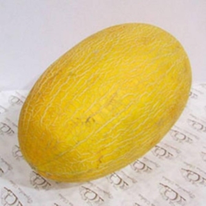 Дыня Гуляби (Чарджуйская)