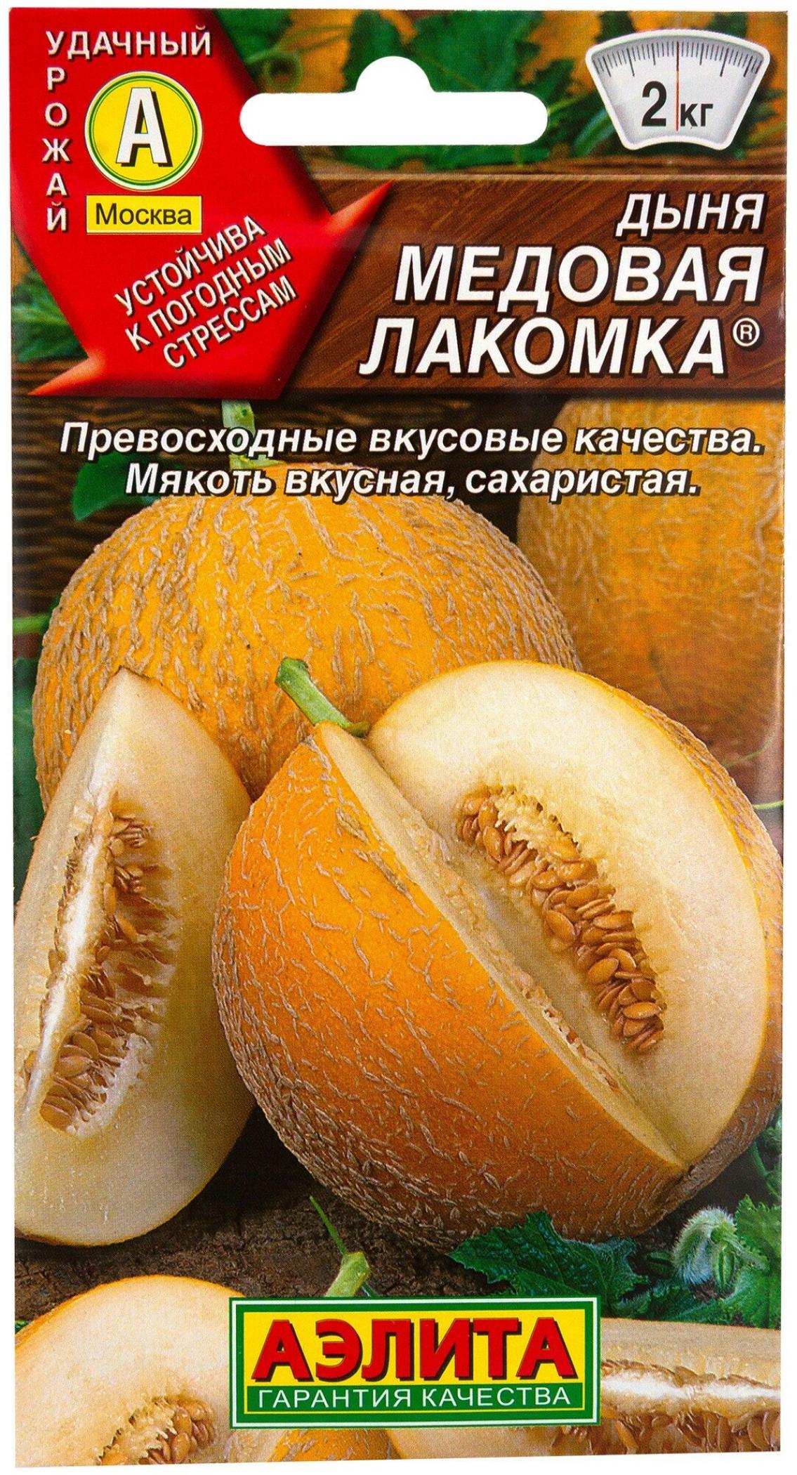 Дыня Медовая лакомка
