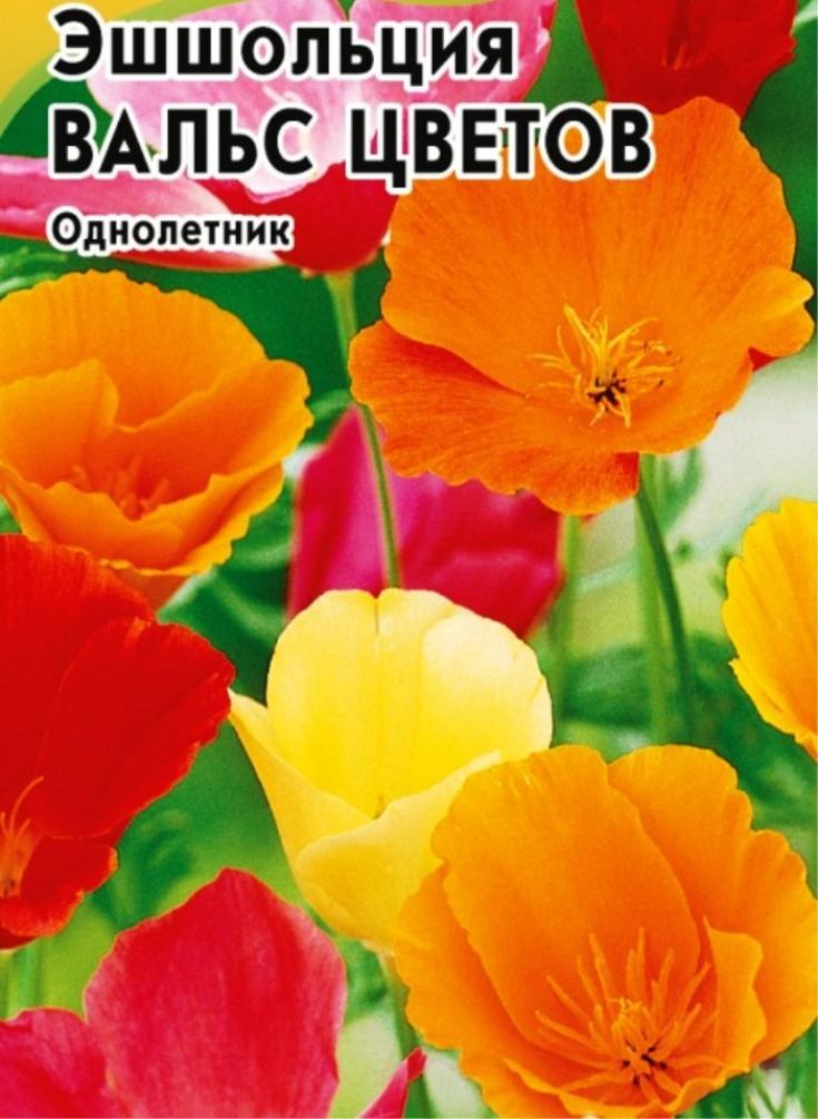 Эшшольция Вальс цветов 2