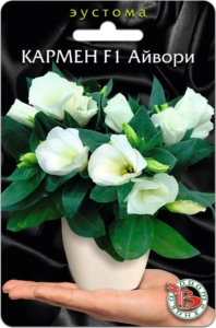 Эустома Кармен Айвори