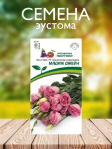 Эустома Мадам Джейн