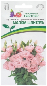 Эустома Мадам Шанталь