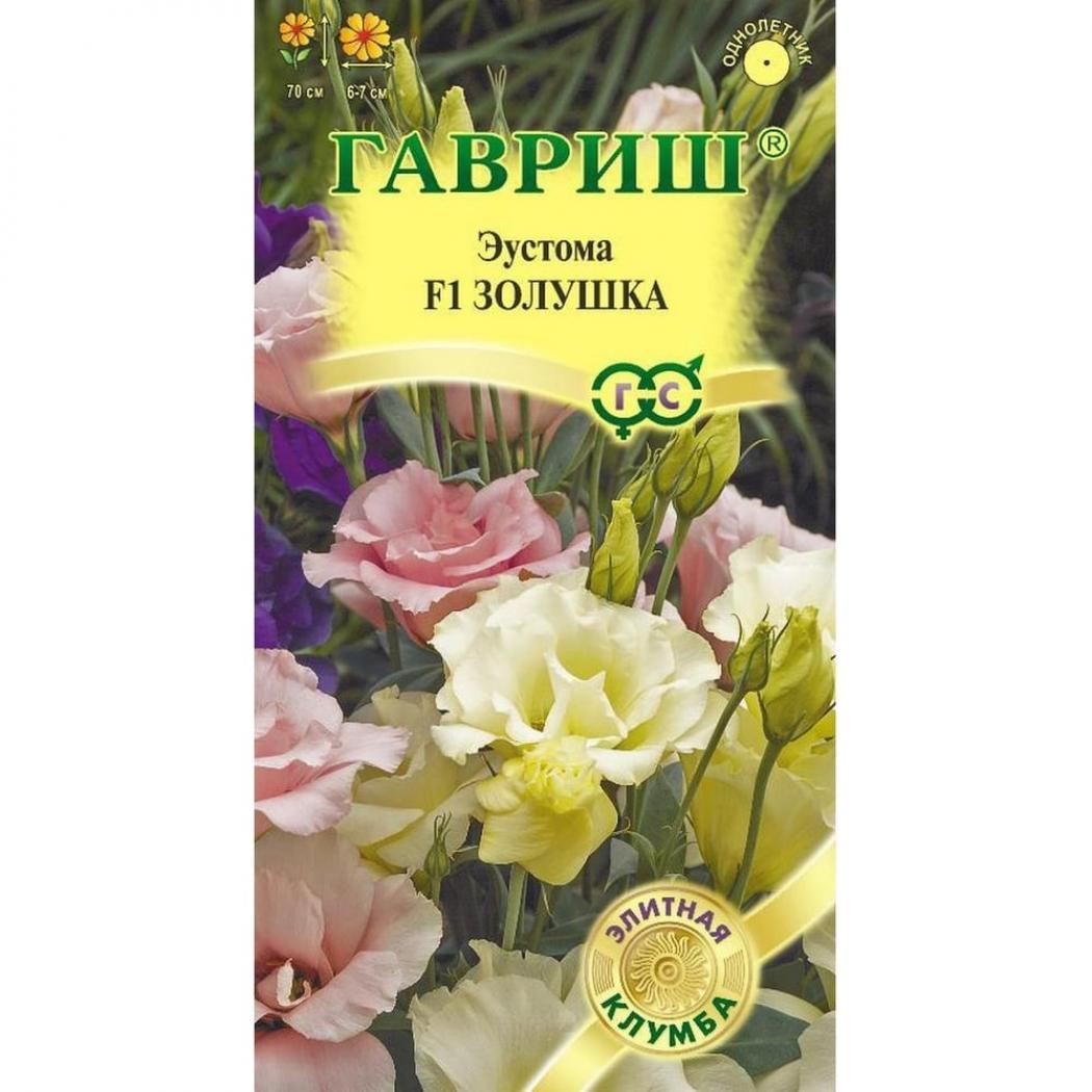 Эустома Золушка 2