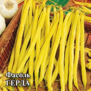 Фасоль Герда