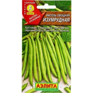 Фасоль Изумрудная