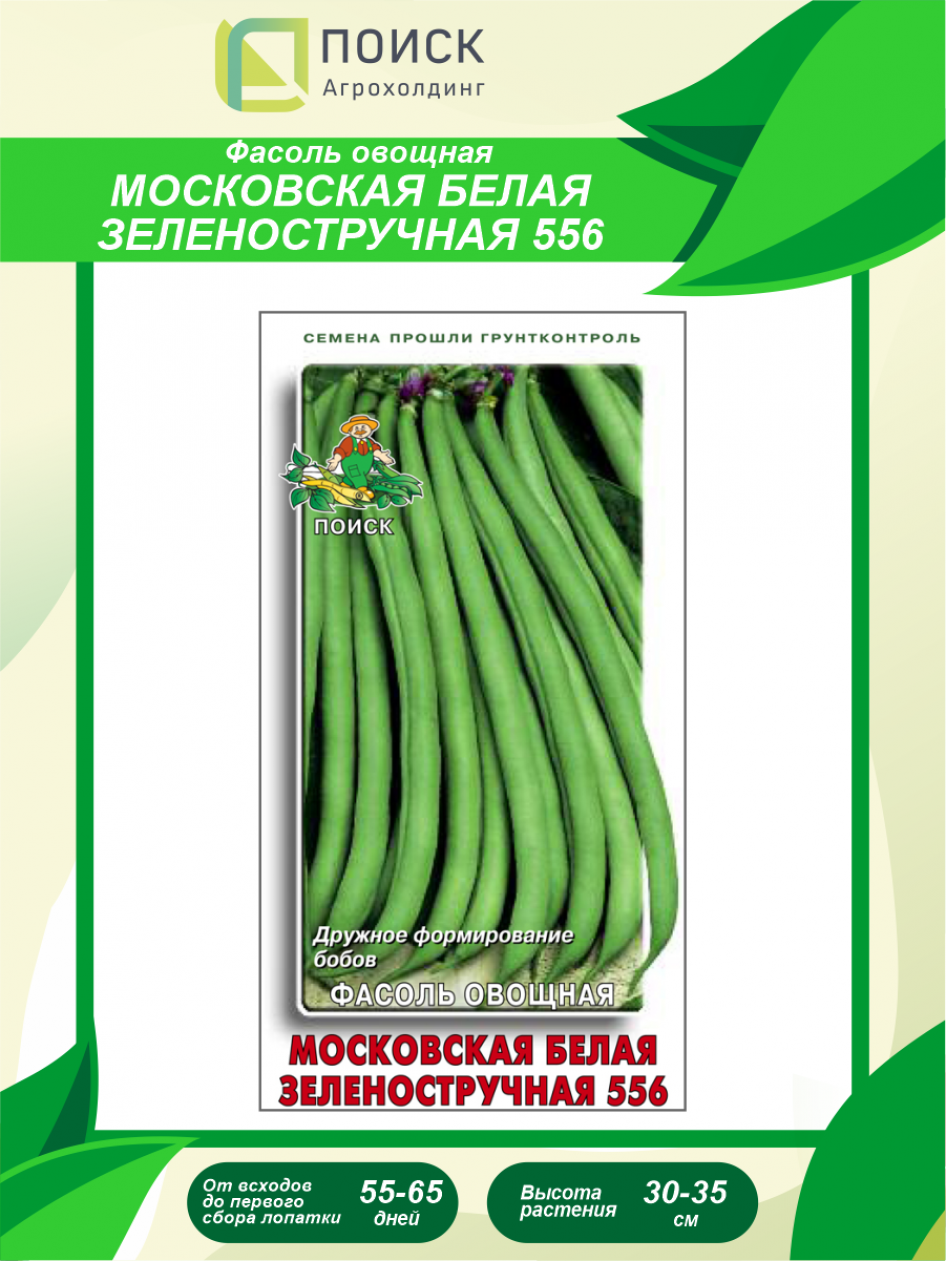Фасоль Московская белая зеленостручная 556 2
