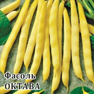 Фасоль Октава