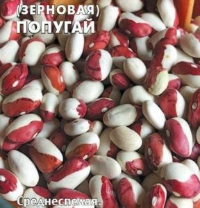 Фасоль Попугай