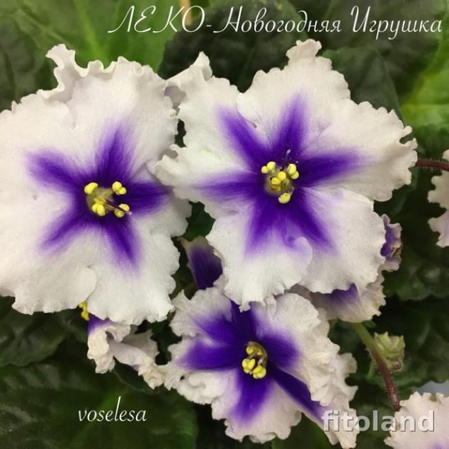 Фиалка ЛЕКО-Новогодняя Игрушка 2