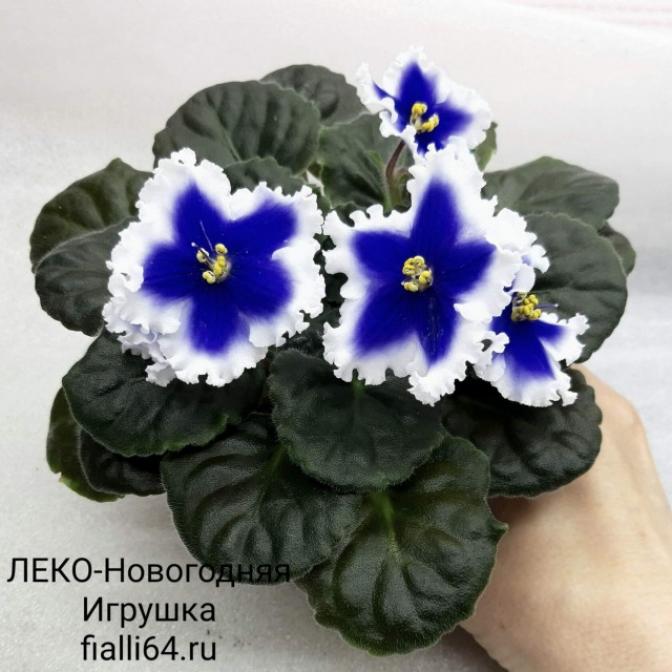 Фиалка ЛЕКО-Новогодняя Игрушка 4