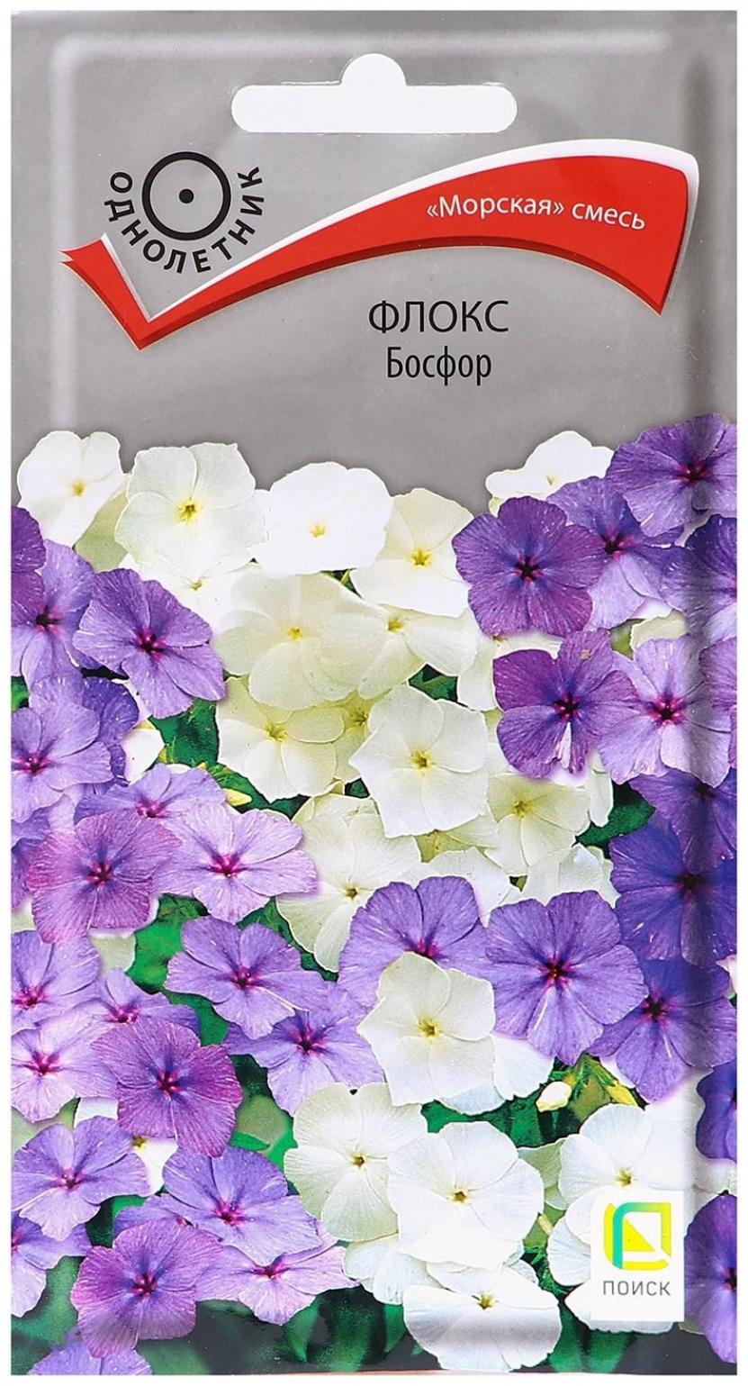 Флокс Босфор