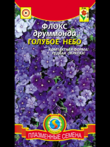 Флокс Голубое небо