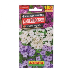 Флокс Калейдоскоп