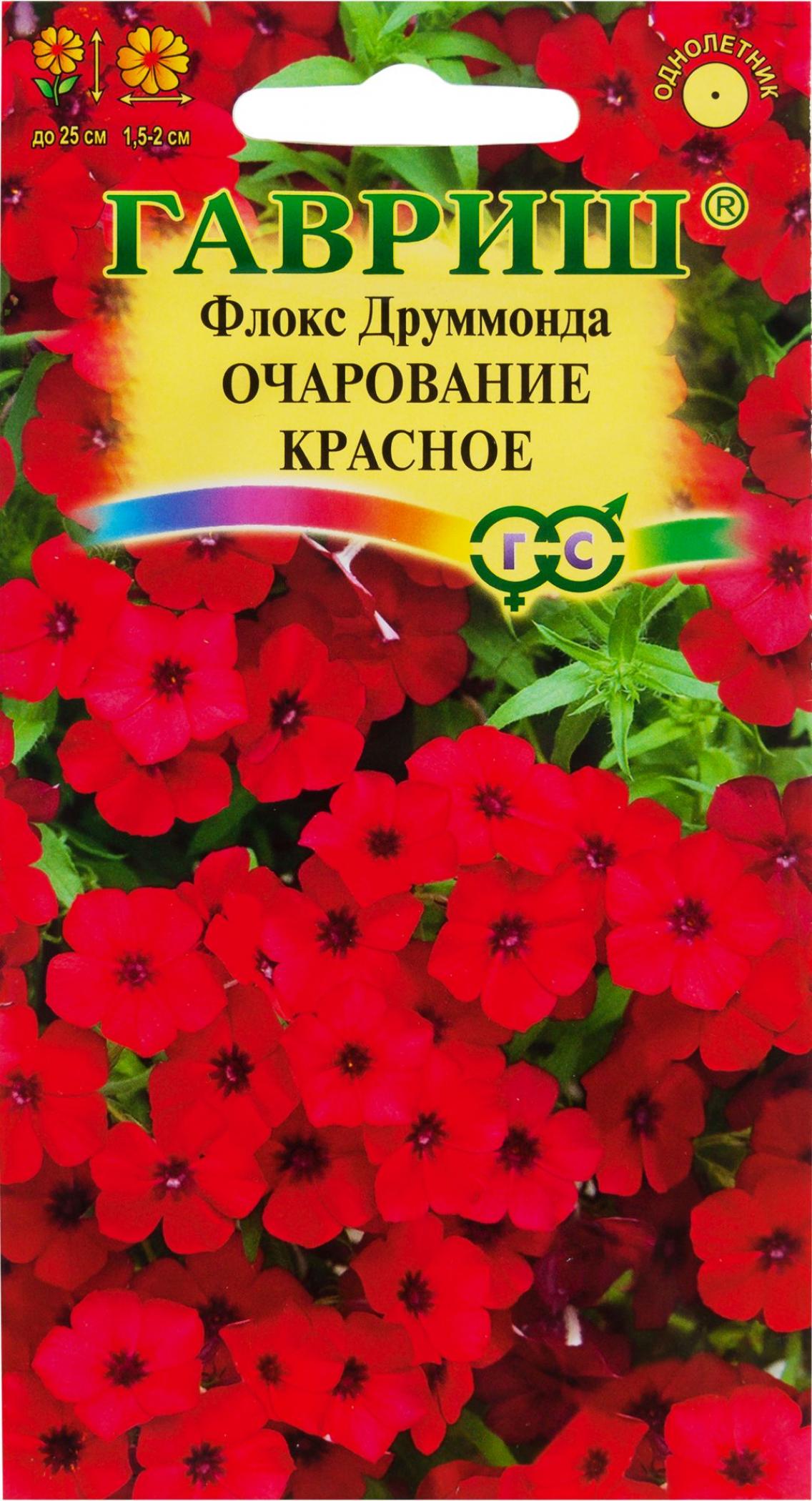 Флокс Очарование красное 3