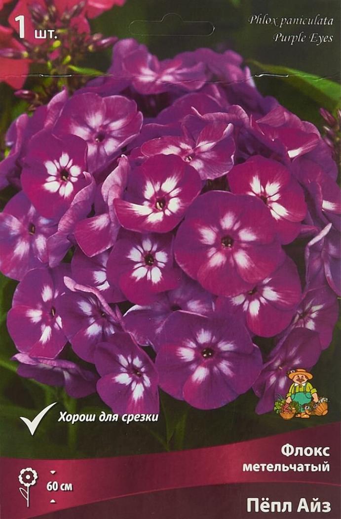 Флокс Пепл Айз 4
