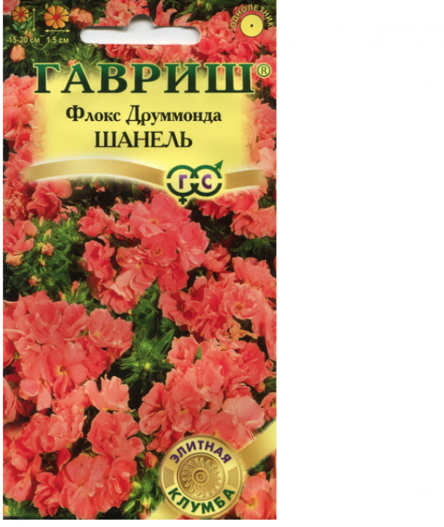 Флокс Шанель 2