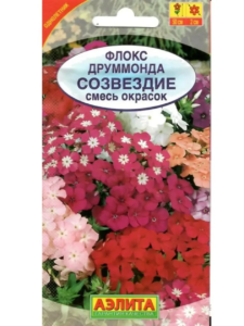 Флокс Созвездие