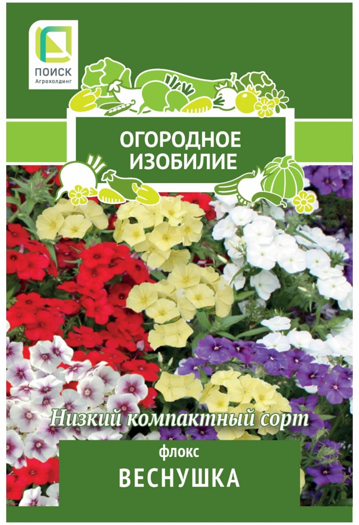 Флокс Веснушка 2