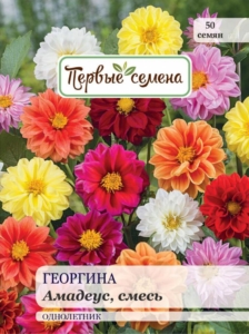 Георгины Амадеус (смесь окрасок)