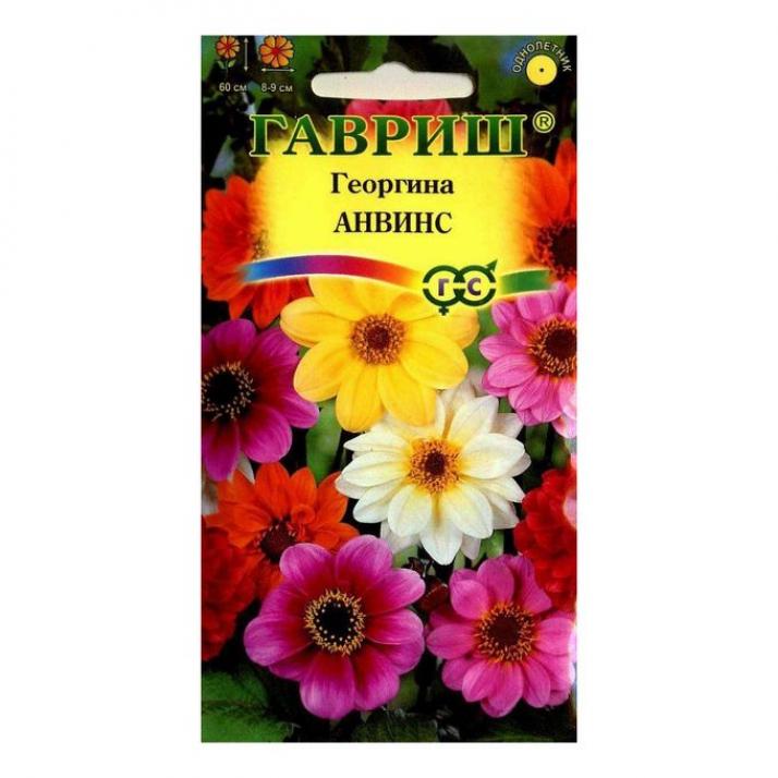 Георгины Анвинс (смесь) 2