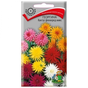 Георгины Кактус Фловеред Микс