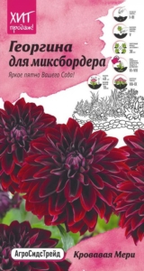 Георгины Кровавая Мэри