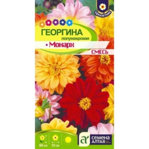 Георгины Монарх (смесь окрасок)