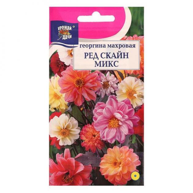 Георгины Ред Скайн Микс