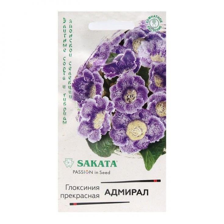 Глоксиния Адмирал 2