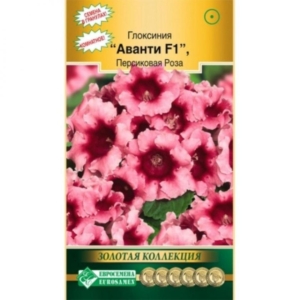 Глоксиния Аванти Персиковая Роза