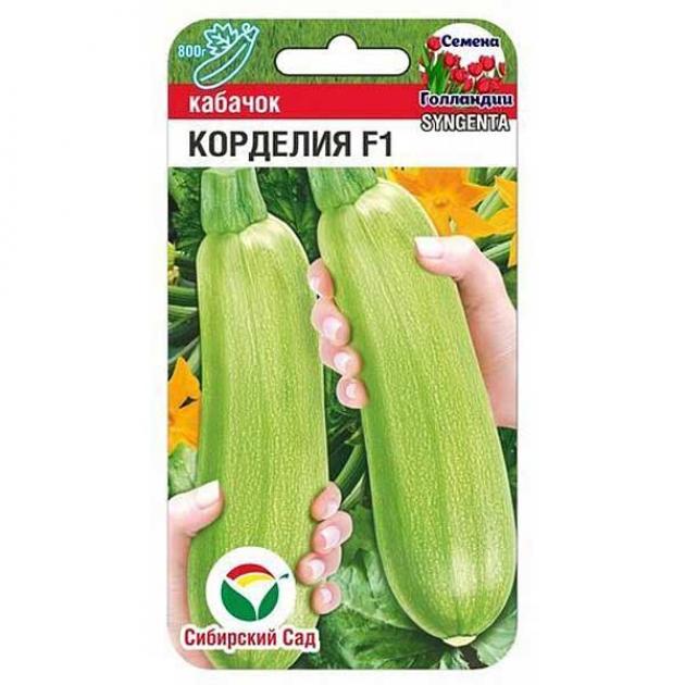 Кабачок Корделия