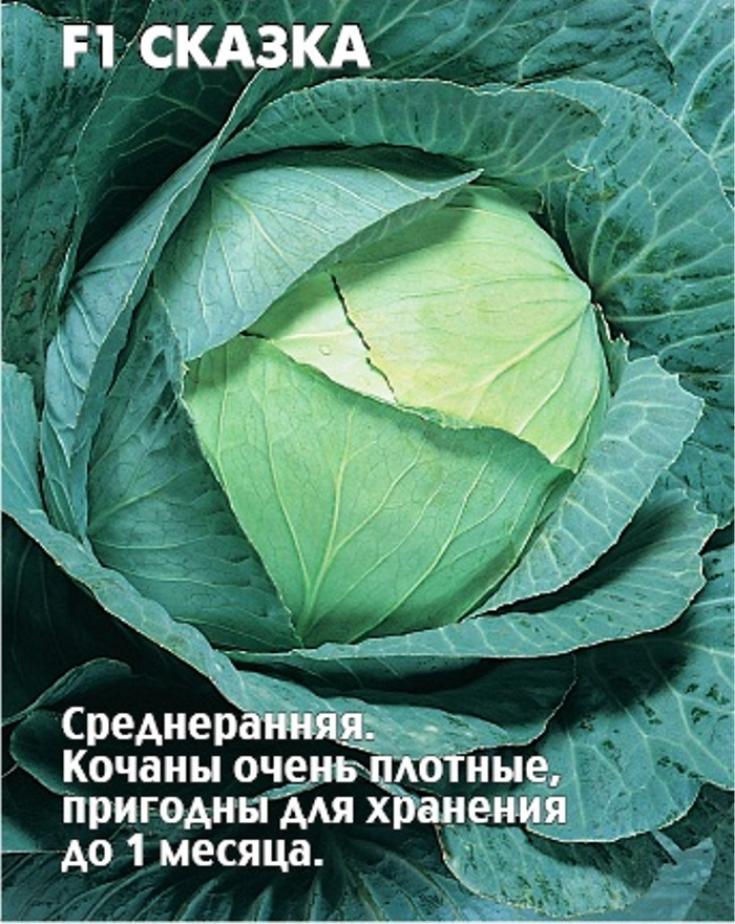 Капуста Сказка