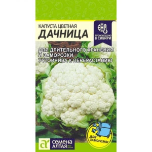Капуста цветная Дачница