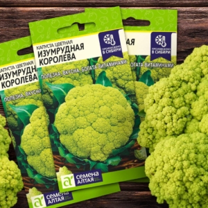 Капуста цветная Изумрудная Королева
