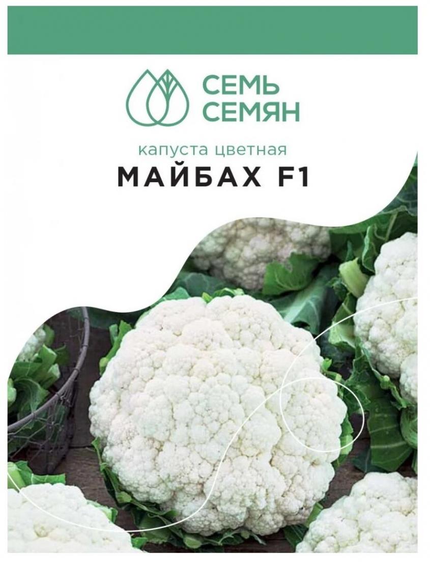 Капуста цветная Майбах 2