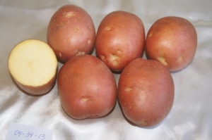 Картофель Амур
