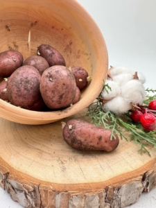 Картофель Арго
