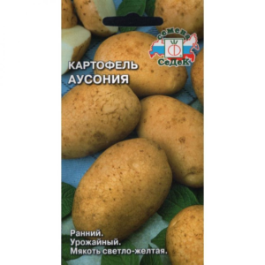 Картофель Аусония