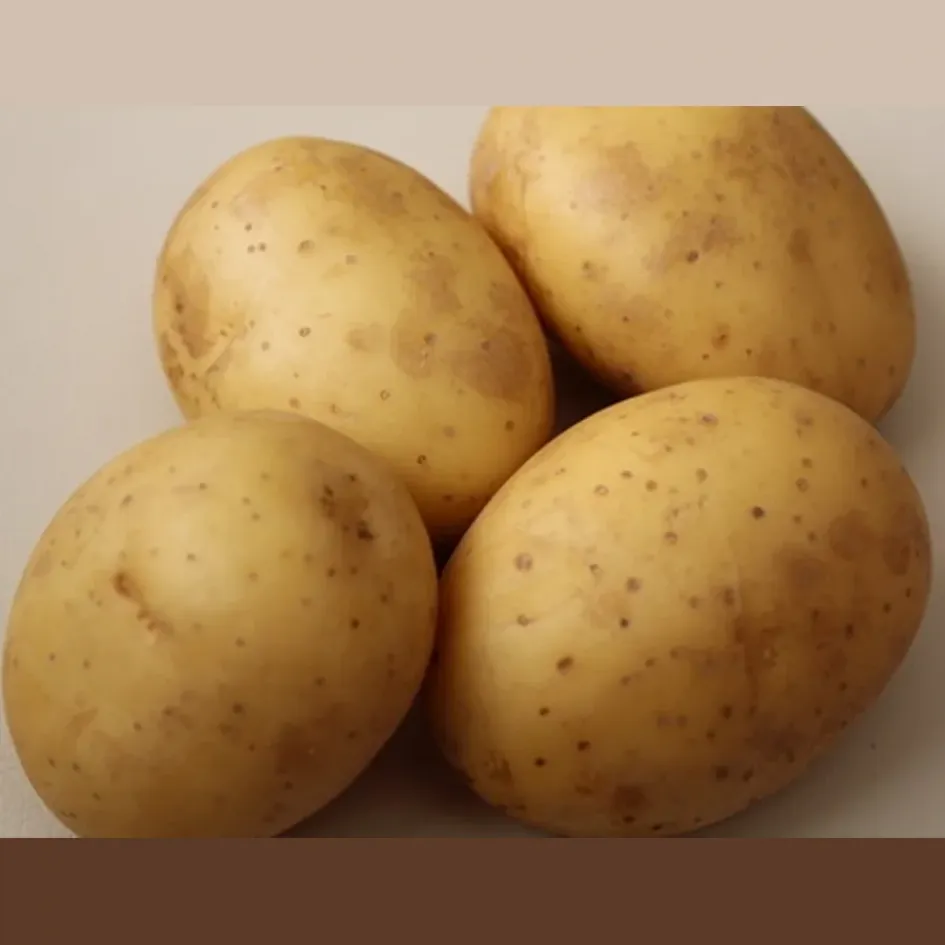 Картофель Бонус
